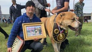 БУТУЗ - Чемпион Дагестана в тяж.весе! НАГРАЖДЕНИЕ!