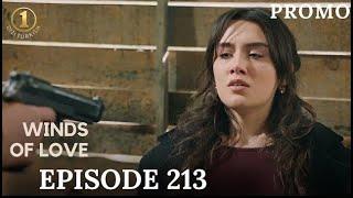 RÜZGARLI TEPE 213 - Everything has come to an end