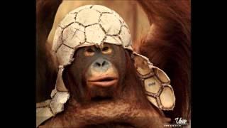 Monkey feet