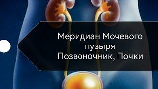 7) Здоровый Мочевой пузырь=здоровый позвоночник. Меридиан мочевого пузыря, Марма Басти, Вэй чжун.