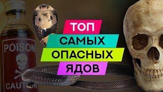 Топ 5 самых опасных ядов