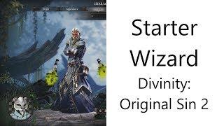  Basic Starter Wizard in Divinity: Original Sin 2