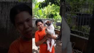 Sammie the dog saying Bye Bye