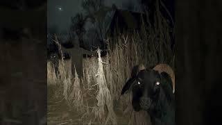 [free] bones type beat - "White/Witch" | dark ambient/cloud rap beat