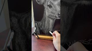 如何用粉筆塑造不同風格的動物 | Drawing Animals in Different Styles with Chalk#blackboard #chalkboard #sketching