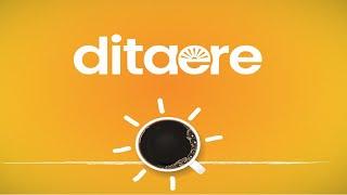 Dita e re - 03.10.2024