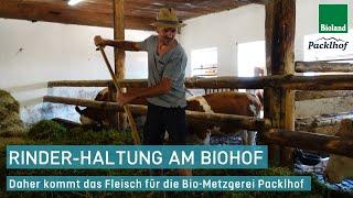 Rinderhaltung am Biohof: Besuch auf dem Biolandhof der Familie Greppmair