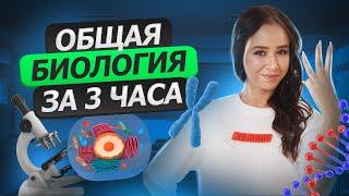 Общая биология за 3 часа. Самые важные темы для ЕГЭ | Биология ЕГЭ 2023 | Умскул