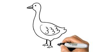 How to DRAW a GOOSE Easy Step by Step