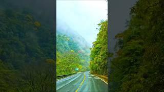 A road trip between a mountain and a forest.