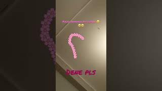 Dene