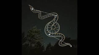 Serpent - Constellation Pack - NFT Art by Monstercat - 142