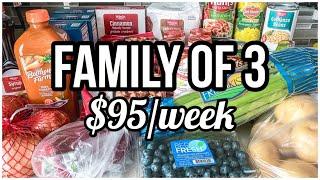 GROCERY SHOPPING ON A BUDGET 2024 | Month of Grocery Hauls