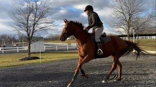 Mondeuse // Derby XC Clinic @Loch Moy 12212024