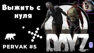 Новичок выживает с нуля в DayZ | PERVAK PVE #5 | Жизнь после вайпа