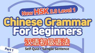 2021 新HSK3.0 初级语法句型 Part 1 | Chinese Grammar of New HSK 3.0 Level 1 Standard | Basic Chinese Grammar