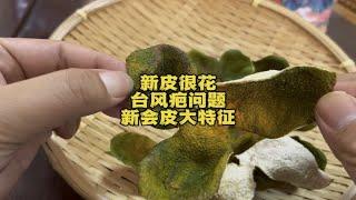 新会皮很花台风疤问题，这是新会陈皮一大特征，不会影响陈皮口感