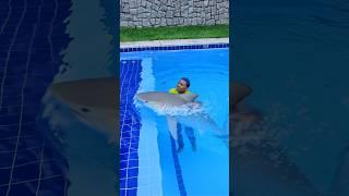 shark in the pool  #funny #comedy #funnyvideo #funnymoments #pool #viralvideo #shorts #video