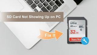 【Fix it!】SD Card Not Detected/Showing Up on My PC