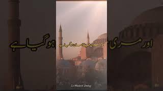 heart touching Islamic quotes  #viral #shortsfeed #viralshots #shorts  #urduquotes #ytshorts
