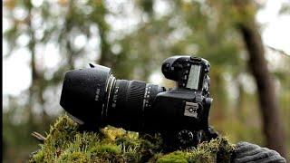 canon 70D / заменил материнку / ура!)