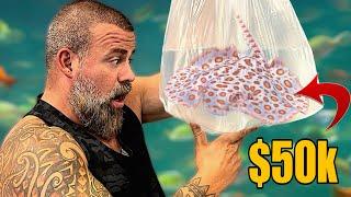 THE CRAZIEST FISH UNBOXING - I ALMOST GOT MY DREAM FISH!!!