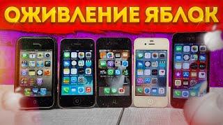 Оживил кучу айфонов запчастями с Aliexpress - Моя "коллекция" старых iPhone (тонусных)