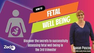 How to: Fetal well-being assessment in the 3rd trimester - 3 February 2022