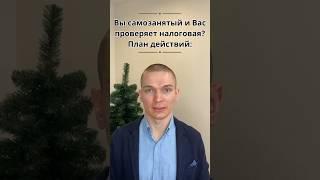 ПЛАН ДЕЙСТВИЙ ПРИ НАЛОГОВОЙ ПРОВЕРКЕ