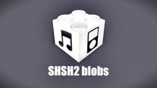 How to save SHSH2 Blobs on Windows EASY!