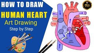 How to Draw Human Heart Drawing |Bilal Art and Craft|