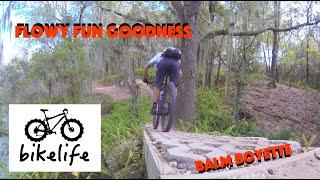 Balm Boyette Mountain Biking