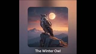 The Winter Owl