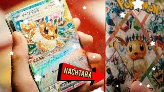 EILMELDUNG! 2025 Evoli Set Leaks & Tag-Team Pokemon Karten angeteased?