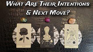  What Are Their Intentions? What Do They Want From This Connection? Pick A Card Love Reading