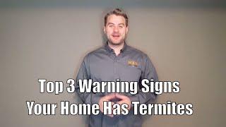 Top 3 Warning Signs Your Home Has Termites