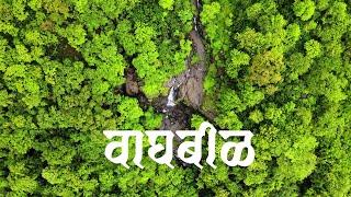 Waghbil | वाघबीळ | Badlapur | महाराष्ट्र देशा | Monsoon 2024