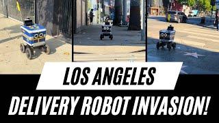 When Bots Invade: LA's New Delivery Reality