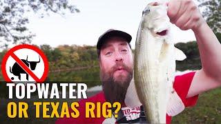 Topwater vs Texas Rig - Which Lure Will Catch More Bass?