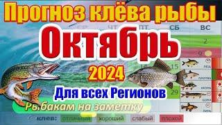 Календарь рыбака на Октябрь 2024 Прогноз клева рыбы на неделю Лунный календарь рыбака