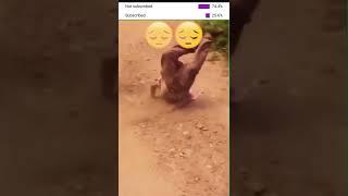 Shot on iPhone Meme ||#shorts#youtubeshorts#memes#shotoniphone