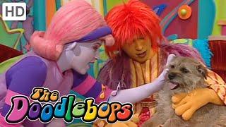 The Doodlebops: Strucel Doodle (Full Episode)