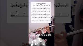 Flute player covers the iconic Game of Thrones theme song| sheet music| tutorial