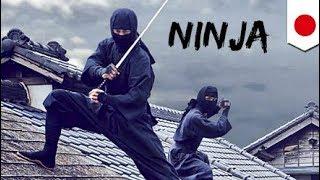 WEIRDEST Video of Real Ninjas Training - Inside ACTUAL Dojo | Ninjutsu Japanese Martial Arts Spar