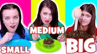 ASMR Big VS Medium VS Small Plate Mukbang Challenge