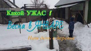 Зимой у нас в деревне. Какой УЖАС !!! Погода в январе