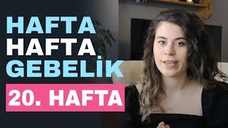 Hafta Hafta Gebelik -20 Haftalık Gebelik