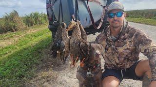 Duck Hunting The Everglades In A Canoe