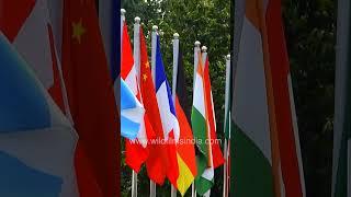 New Delhi suffers from G20 preparations overload, and excessive restrictions
