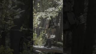 #hunting #everyday #bowhunter #bowhunting #archery